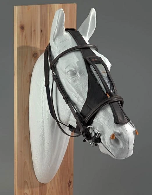 The “Animal Factor – Echo Equine” Concept