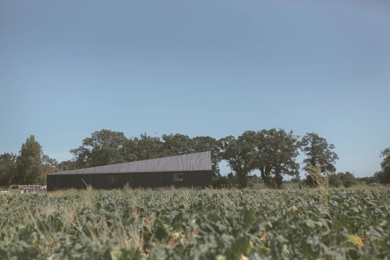 Black Barn features a tapering roofline