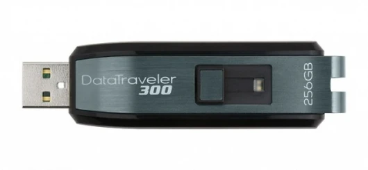 Kingston DT300 256GB Flash drive