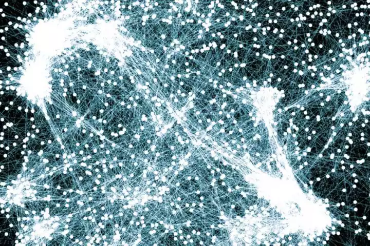 Genes and proteins in cells interact in many different ways. Each dot represents a gene; the lines are their interactions. For the first time, the new method uses biotechnology to influence entire gene networks in a single step