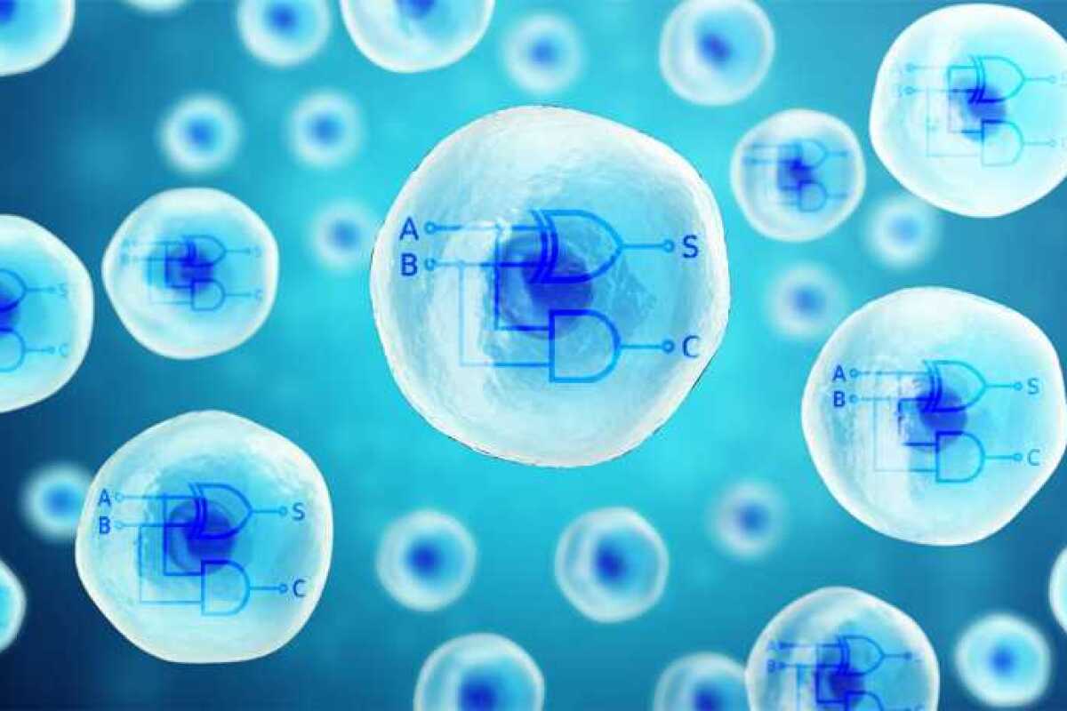 CRISPR has been used to insert biological computer processors into human cells