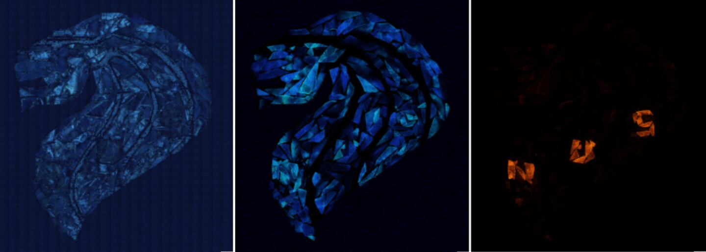 From left to right: Heat-treated fish scales, including some that have adsorbed the pollutant Rhodamine B, under white light, UV light and green light