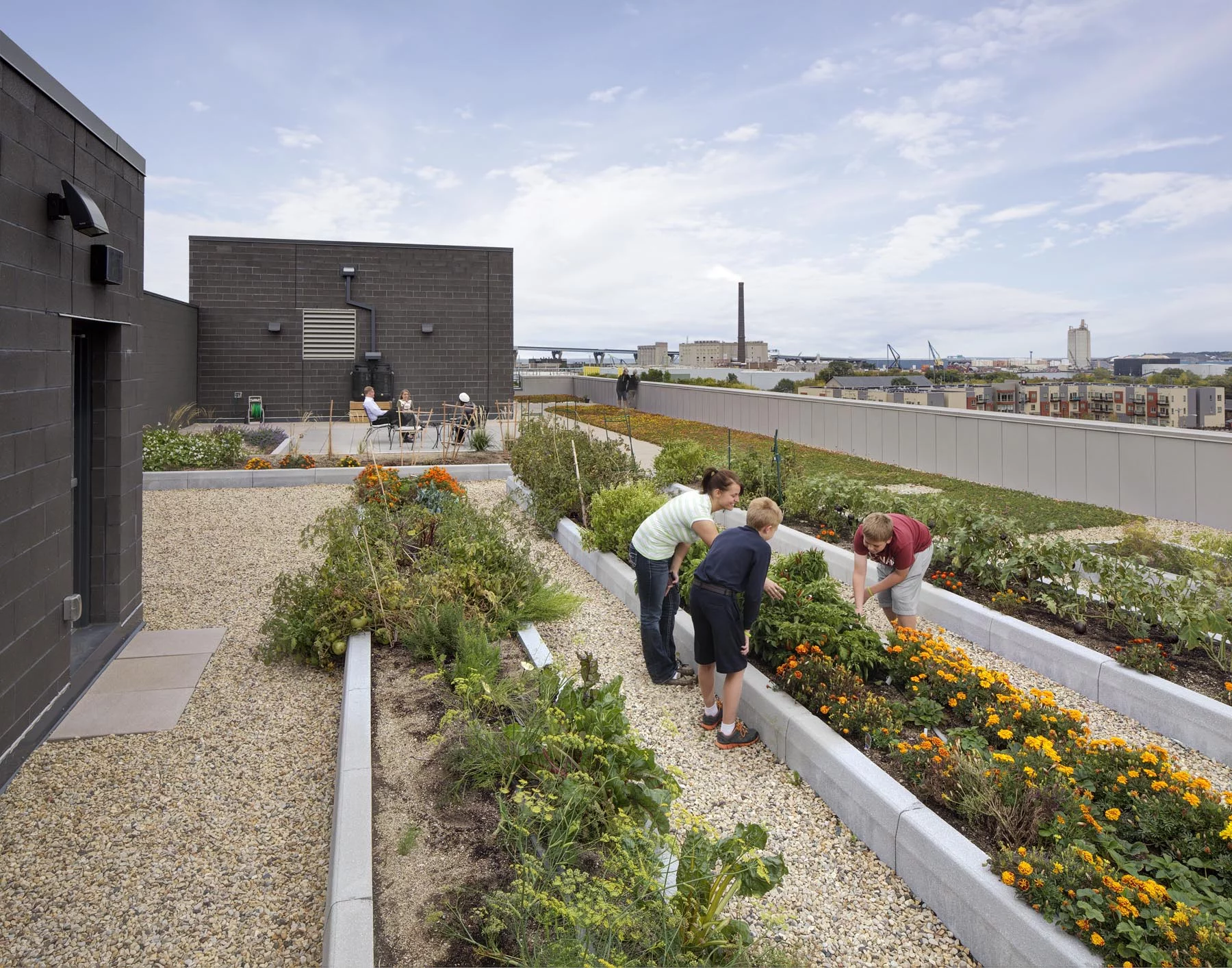 The Clock Shadow Building's rooftop garden (Photo: Tricia Shay)