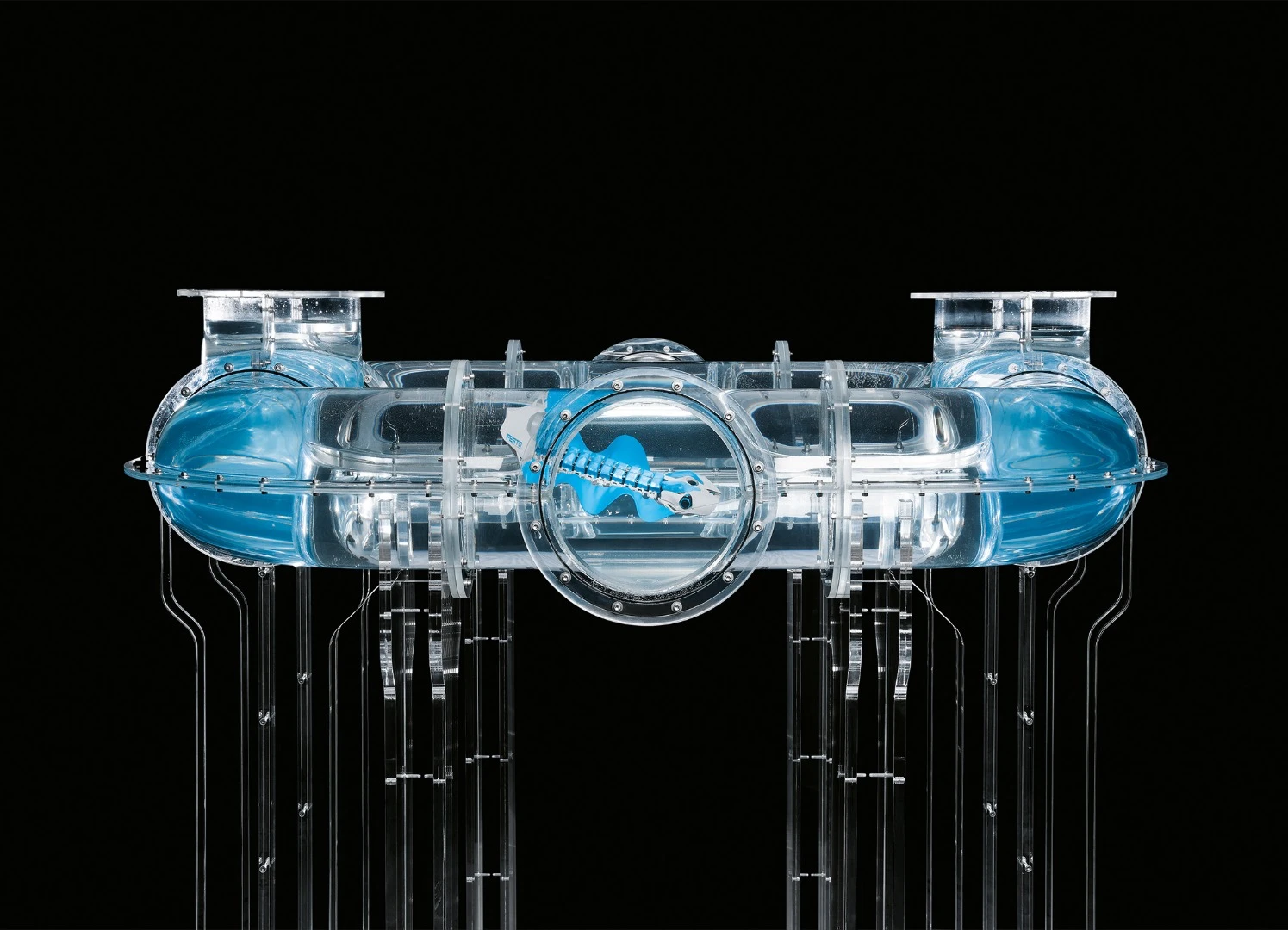 BionicFinWave was recently shown to the public for the first time at the Achema 2018 tech trade show in Frankfurt, where it autonomously swam through a network of clear acrylic pipes