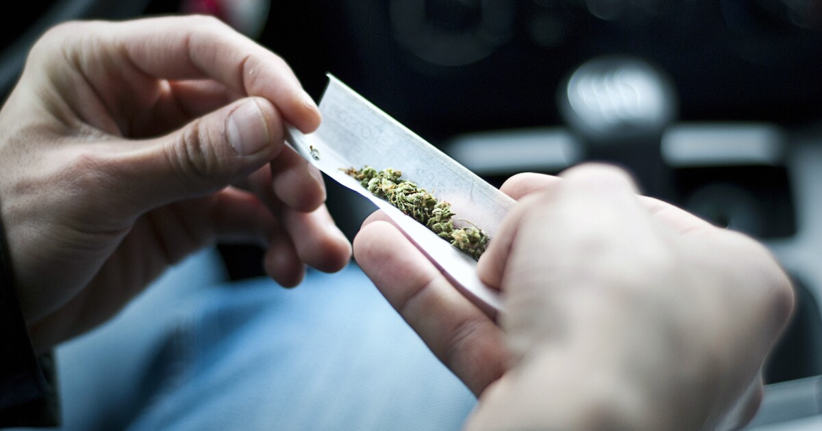 Long-term effects of cannabis is age-related Long-term effects of cannabis is age-related