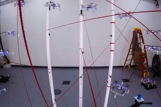 The technique was demonstrated within a "simulated forest"