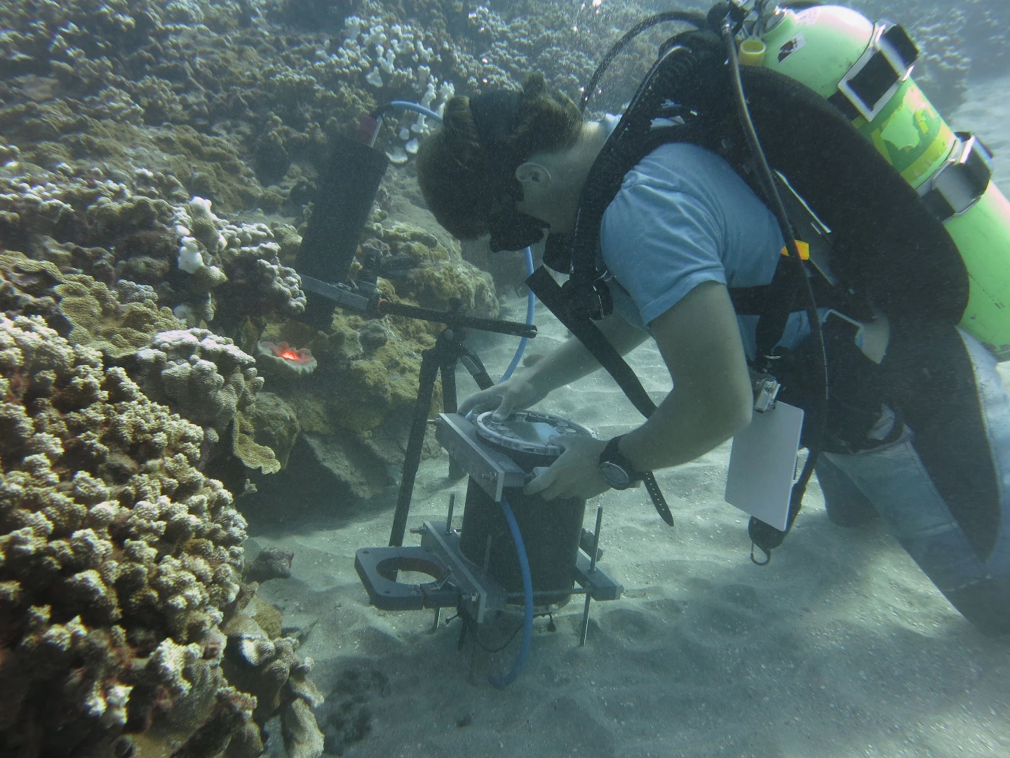 The Benthic Underwater Microscope can be set up and left on the reef for up to about eight hours to make time-series recordings
