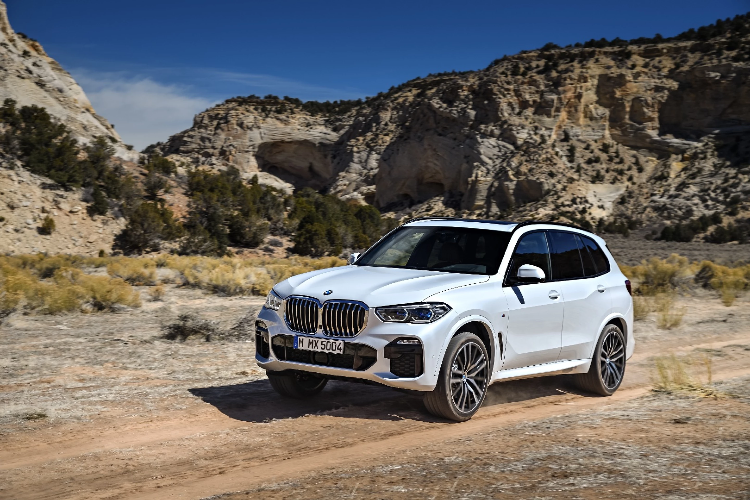 BMW goes bigger and bolder with fourth-gen X5 luxury "SAV"