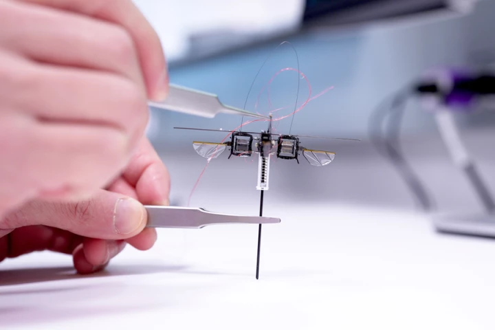 Because of its energy-efficient design, it is estimated that the robot could carry 10 times the weight of a same-sized conventional flying robot