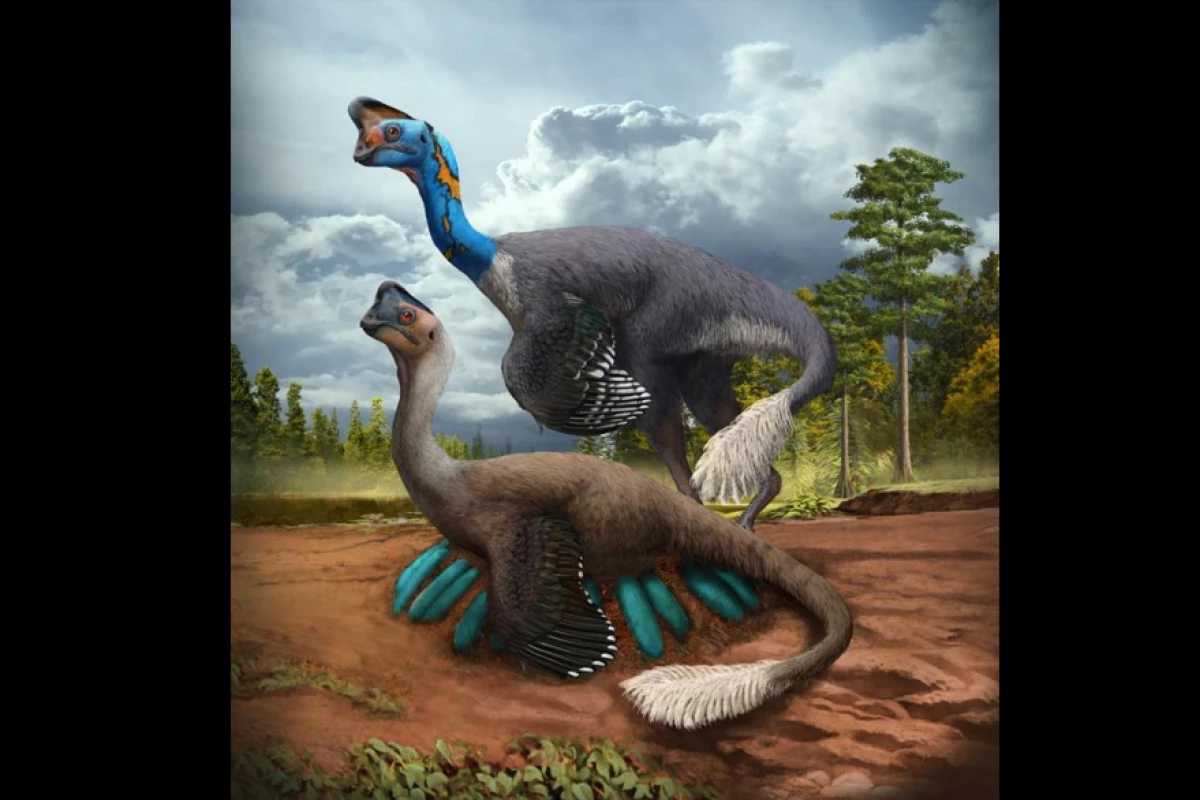 An illustration depicting the oviraptorosaur brooding its nest