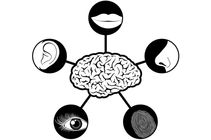 IBM's "5-in-5" list for 2012 predicts the five sense-related technologies enabled by cognitive computing systems that will impact our lives in the next five years (Image: Shutterstock)