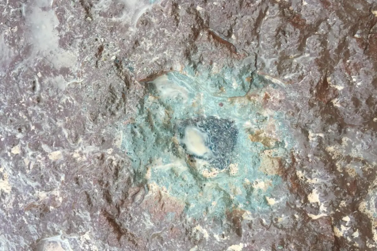 Ost 65 is the black fossil meteorite at the center of this image, embedded in slate in a Swedish quarry