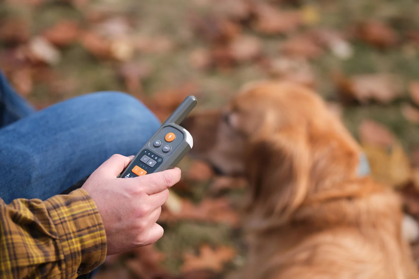 The Heel Roam 350 remote has haptic feedback to let you know if your dog has roamed too far