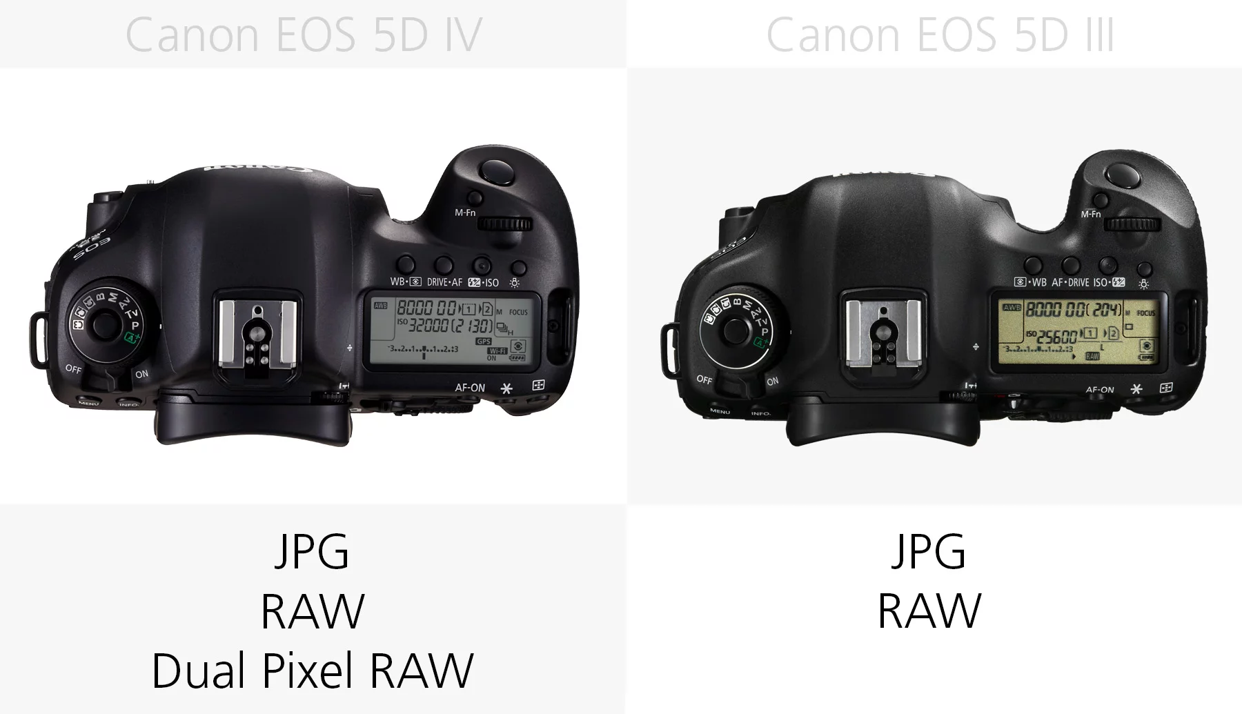 Photo file types (Canon EOS 5D Mark IV and 5D Mark III)