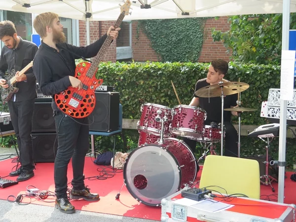 A professor and Lund University, Sweden, claims to have staged the first concert with a band using 3D printed instruments