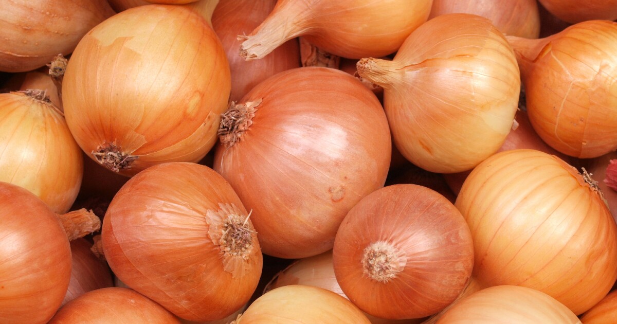 Onion cells used to create artificial muscles