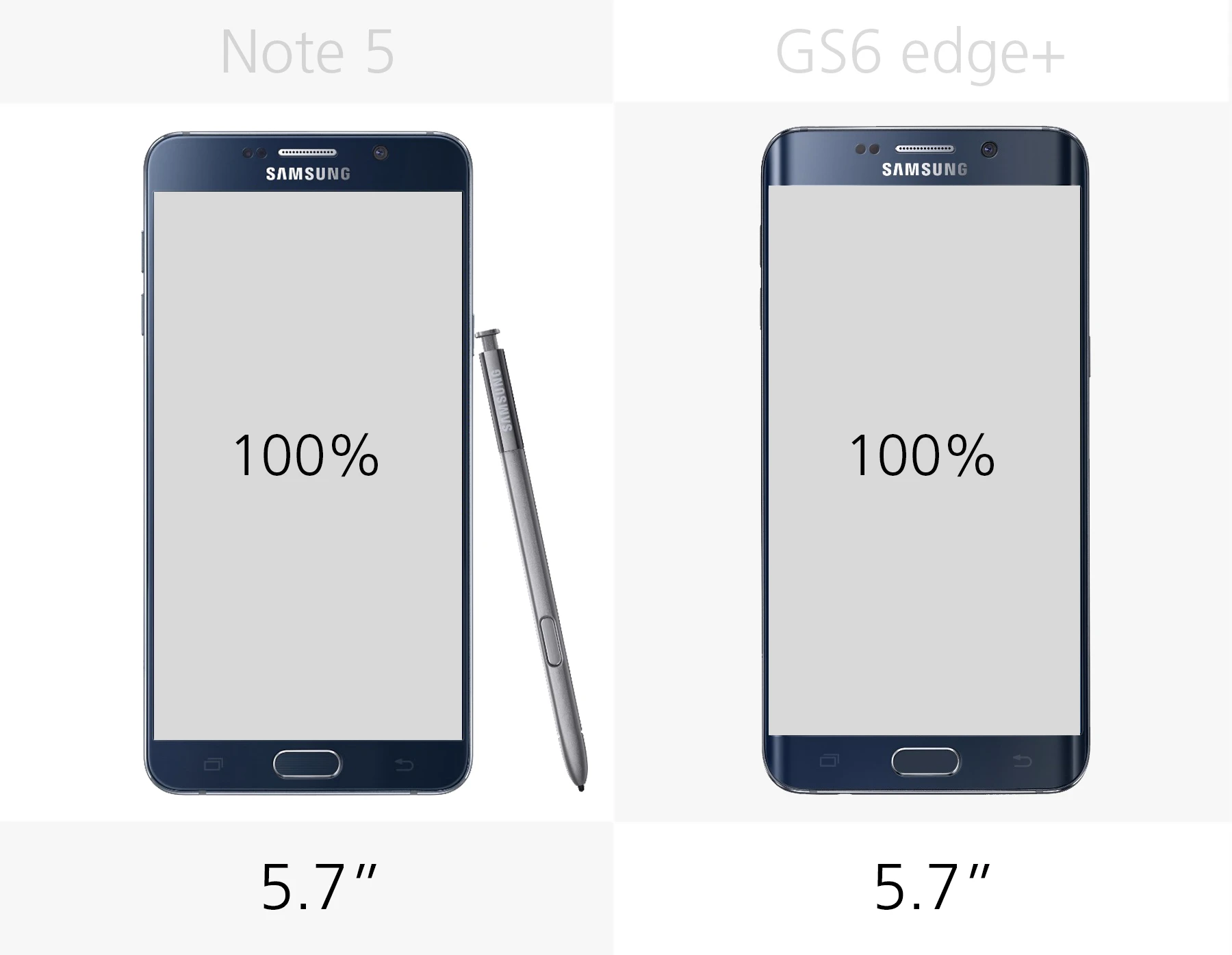 Display size