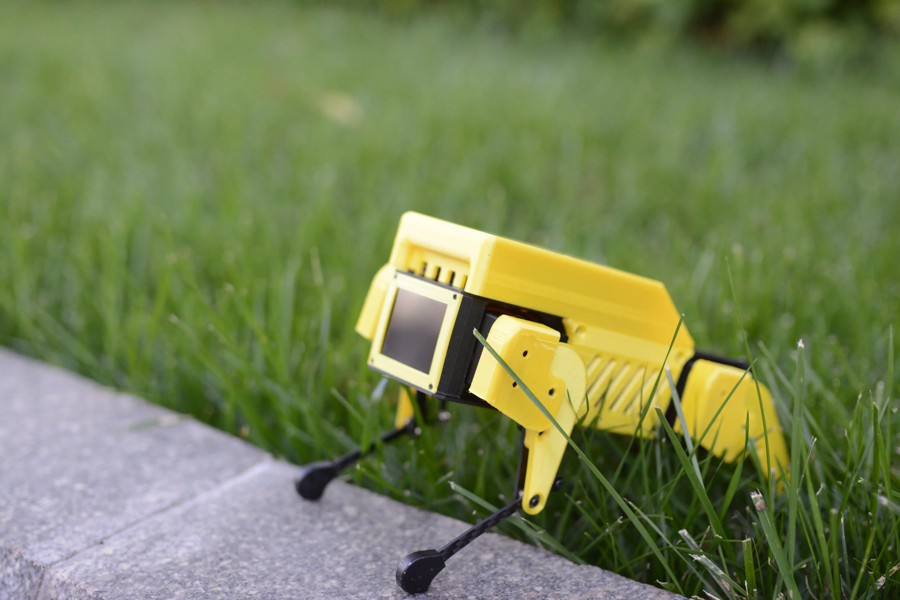 The Mini Pupper features 12 degrees of freedom for "more organic" movements