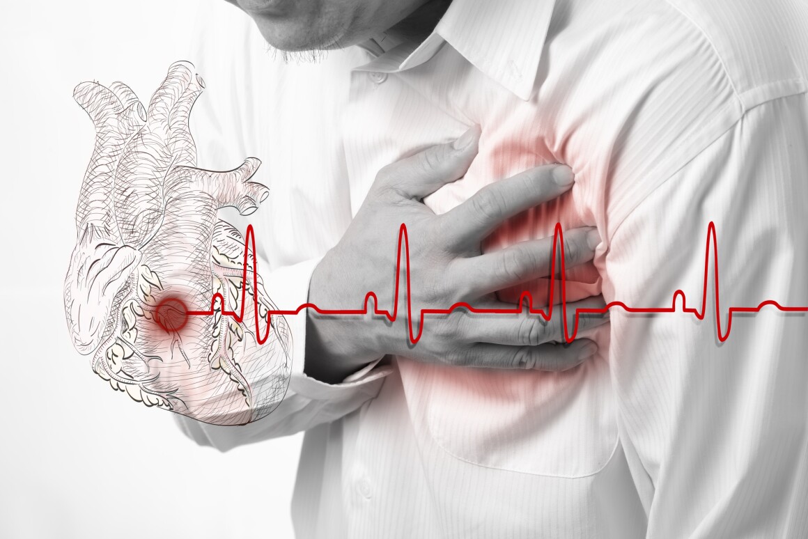 Researchers have found a protein that can improve heart scar tissue in large animals and are looking towards human trials