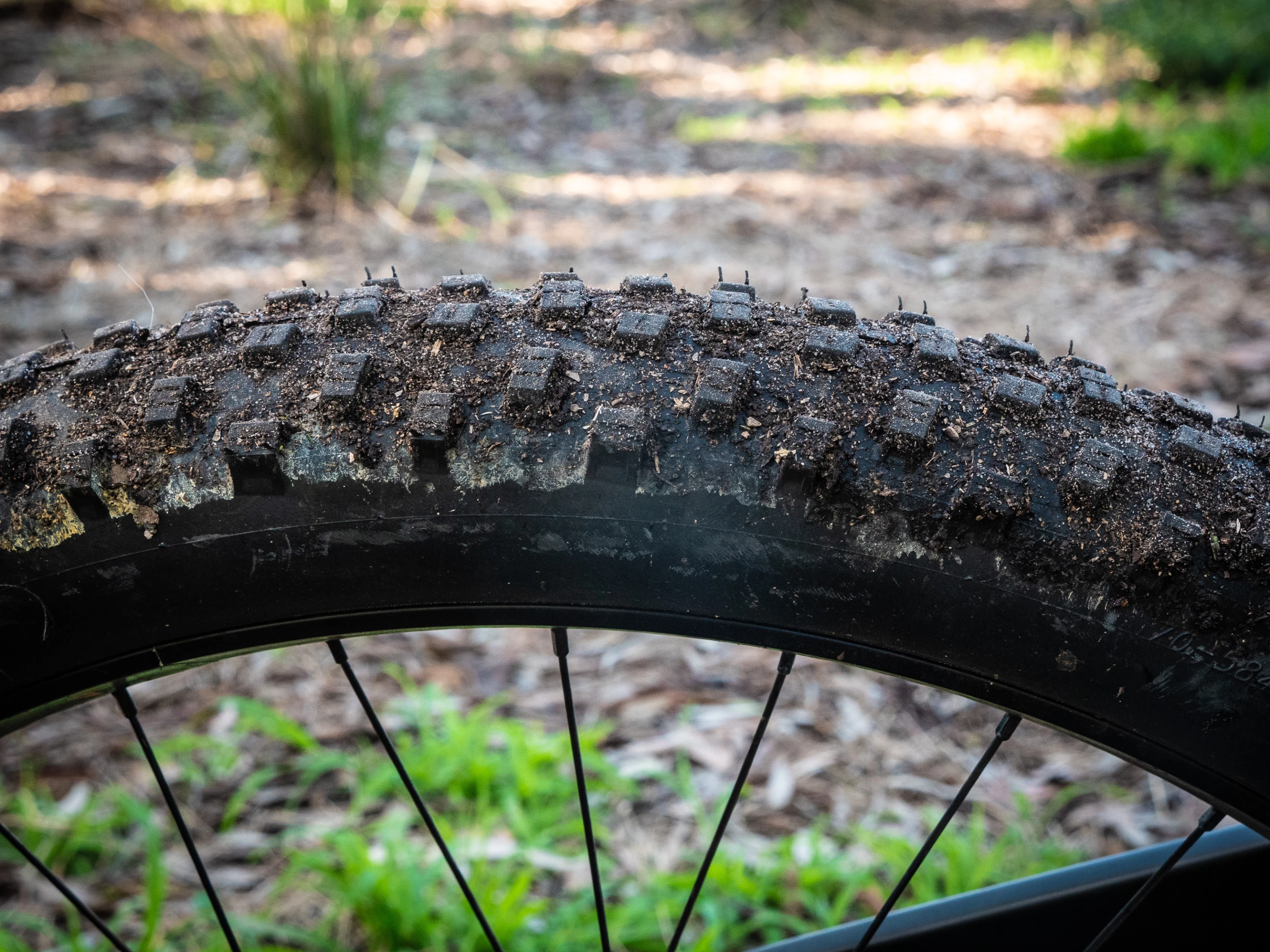 Schwalbe Nobby Nic fat tires offer great off-road grip and bump cushioning, but are a bit noisy on the road