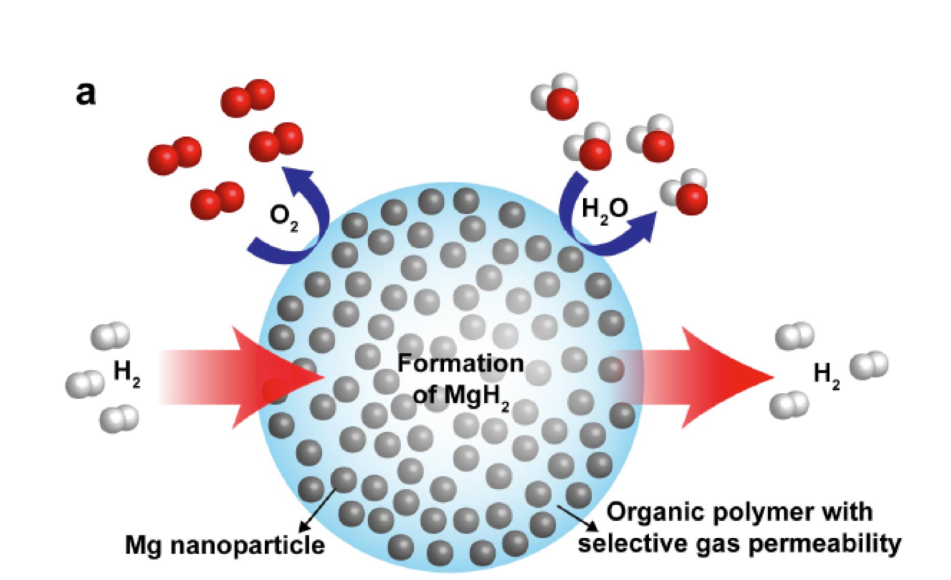 This schematic shows high-capacity magnesium nanocrystals encapsulated in a gas-barrier polymer matrix to create a new hydrogen storage composite material (Image: Jeff Urban)