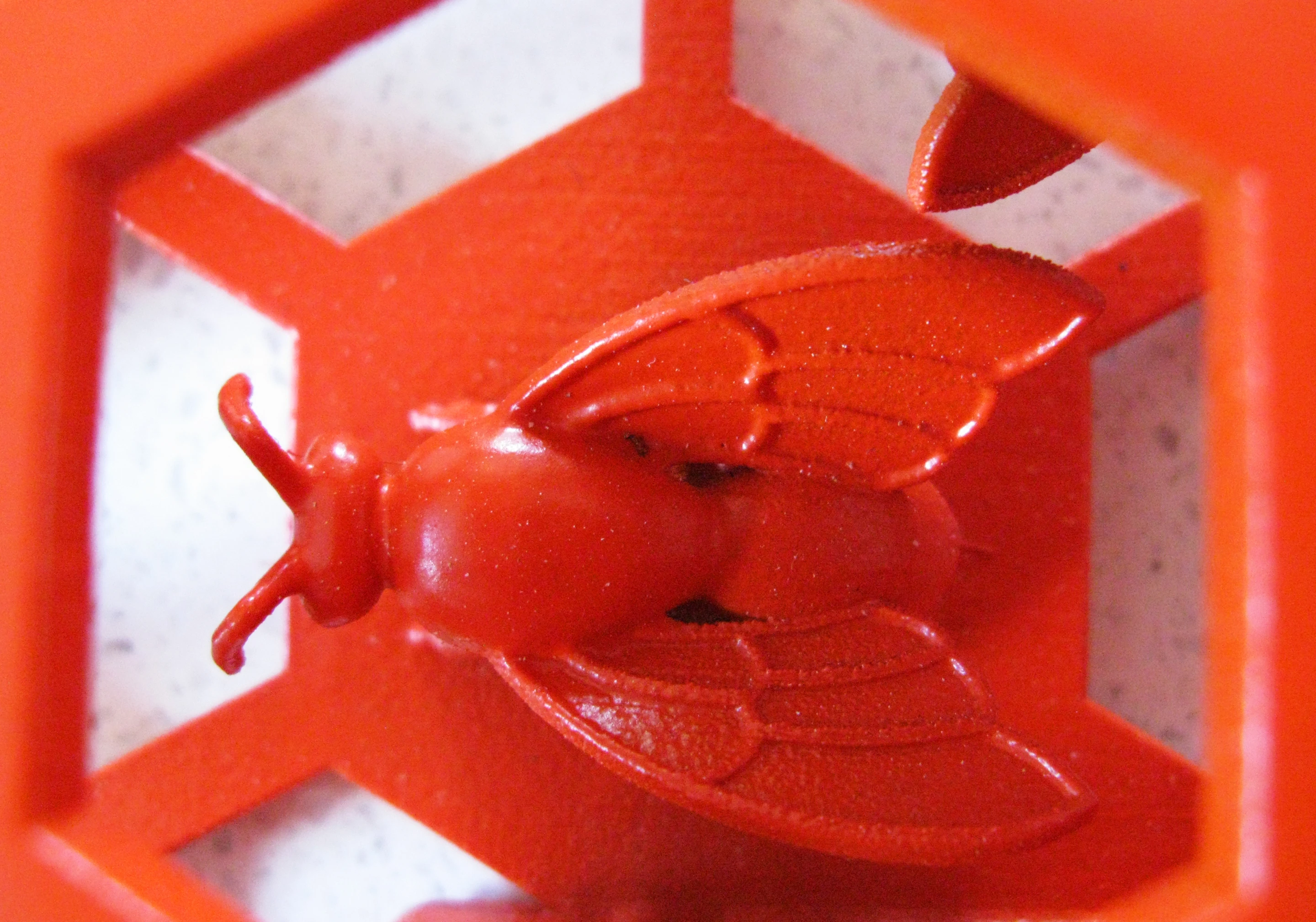 Close up of a resident bee inside the 3D-printed body of the Hive B