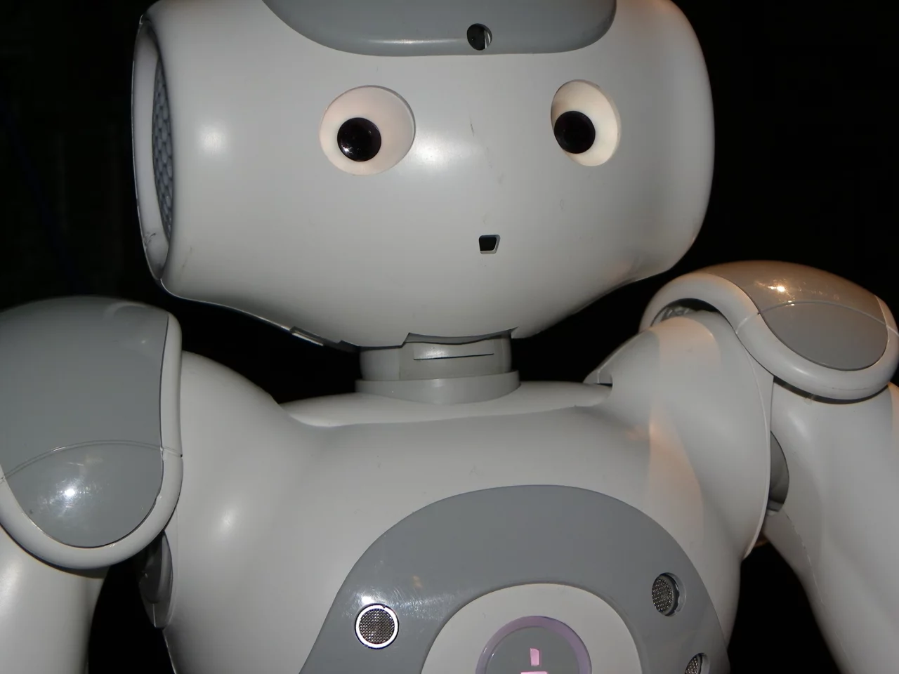 Nao, the versatile fool (Photo: Gizmag)