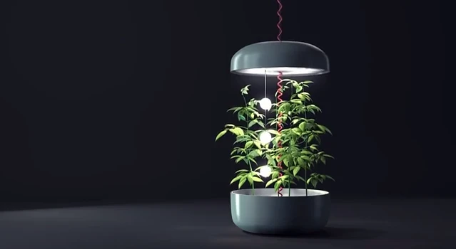 The Plantui Plantation measures 45 cm (17.7 in) in diameter with an adjustable height of 28 to 200 cm (11 to 78 in)
