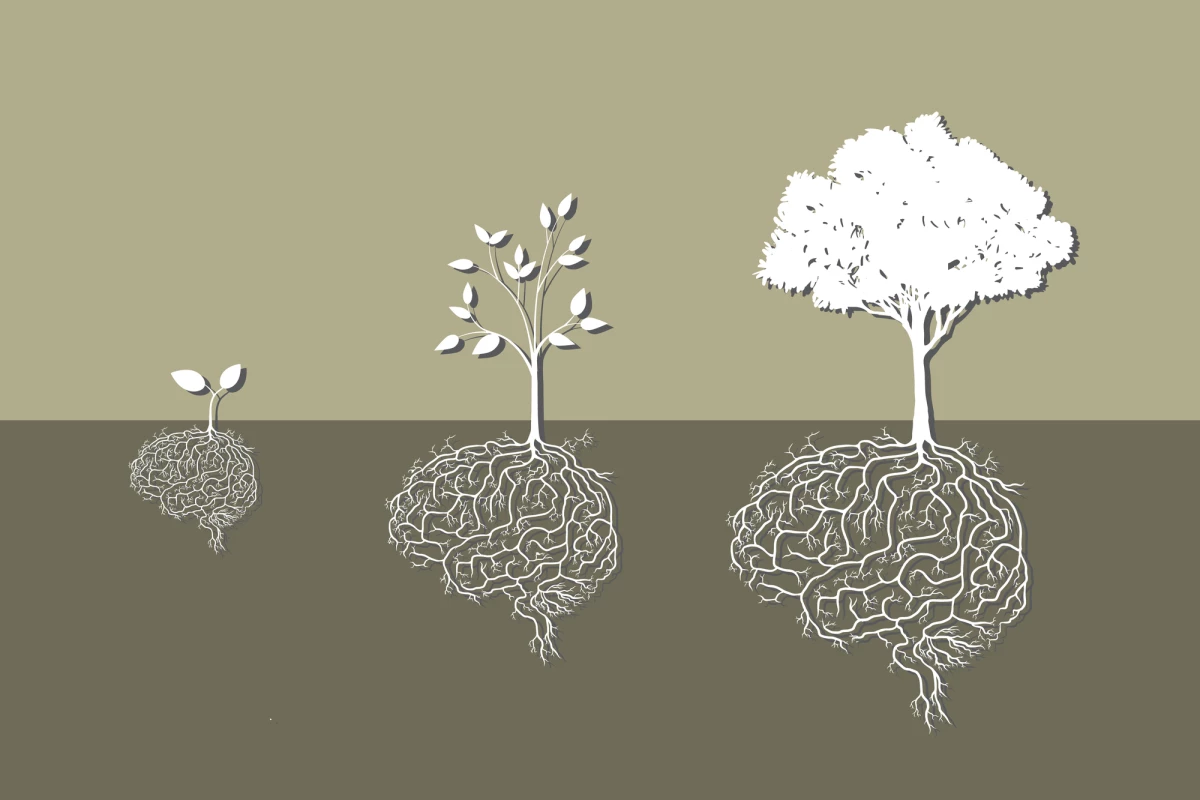 New research suggests the potential for psychedelic drugs to stimulate new neuron production may be able to be separated from the drugs' hallucinogenic effects
