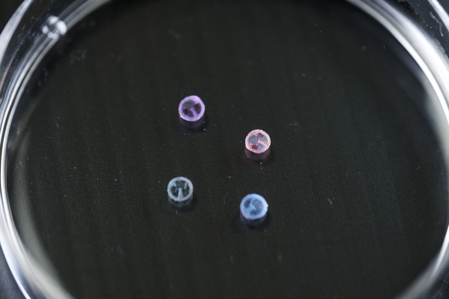 The grain-sized robot was created using smart magnetic composite materials that are non-toxic to humans and can transport up to four different drugs