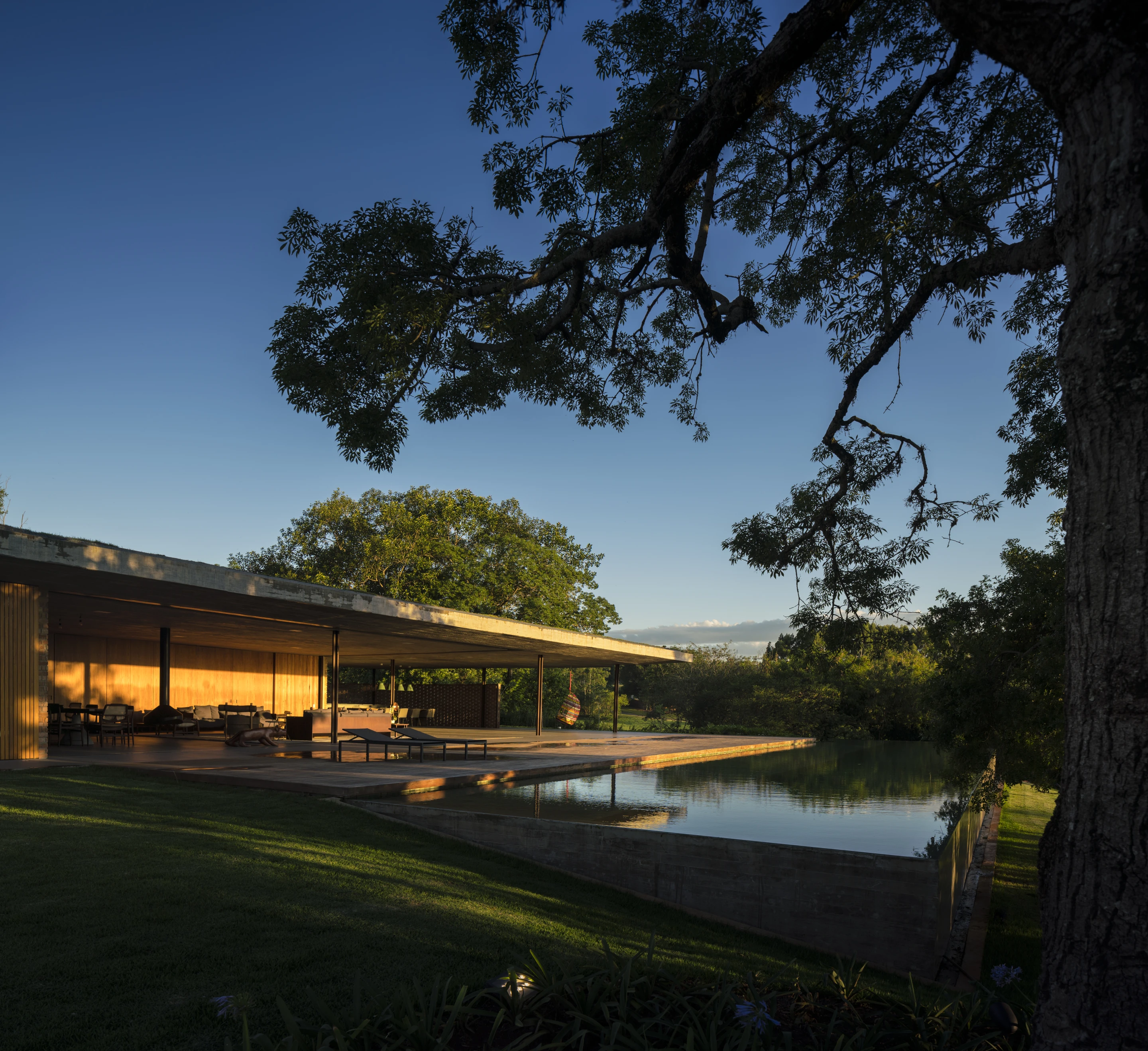 Planar House features a large swimming pool