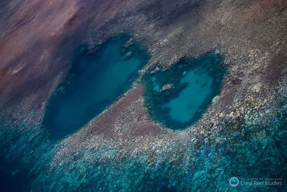 Australia's Great Barrier Reef has experienced its most severe coral bleaching event on record