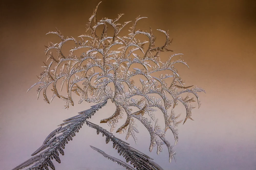 Winner of 1st place in the Amateur Abstract category: James Hersey - Frost. A psychedelic exploration of the crystalline structures appearing on icy windows