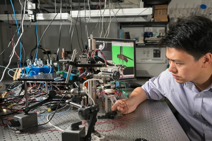 Researchers use a robot augmented with machine vision to uniquely identify and quickly sort fruit flies