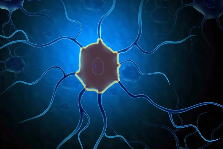 Scientists have created an invisibility cloak that hides transplanted nerve cells from the immune system