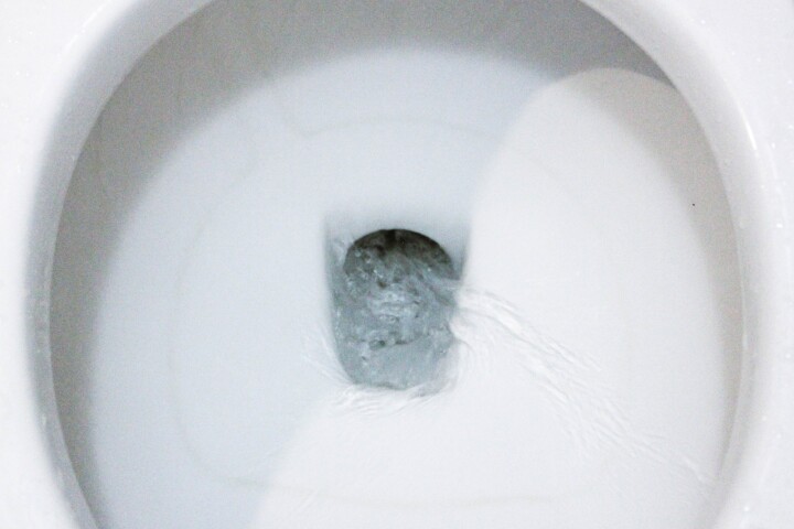 An engineered bacteria produces a marker in the urine when it comes into contact with bowel cancer