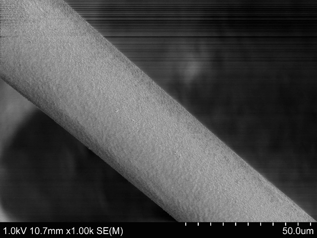 Scanning electron microscope image of an artificially-produced silk fibre