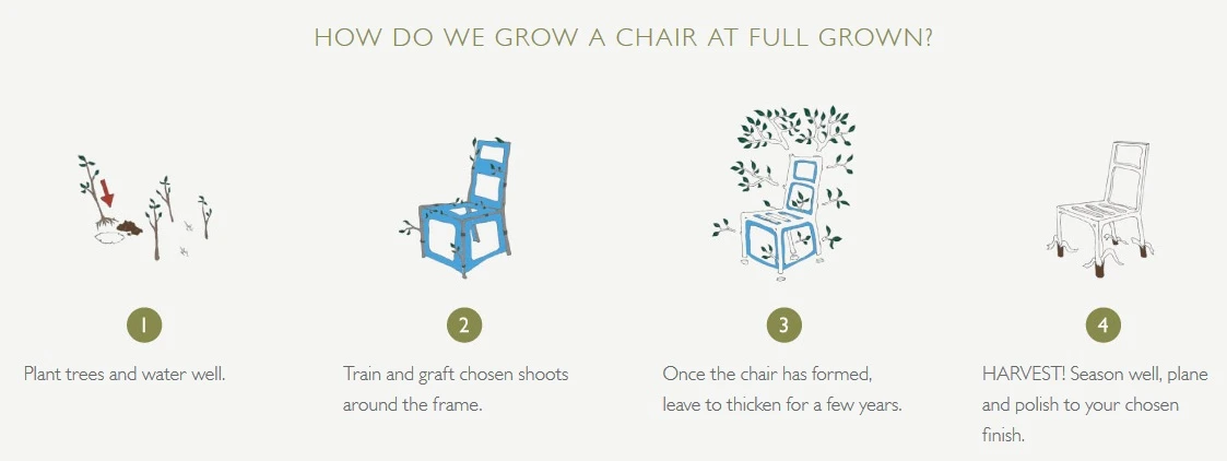 The chair growing process in a nutshell