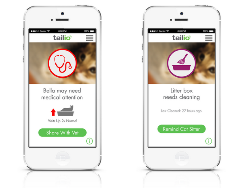 This data is then processed in the cloud and analyzed to generate individual profiles of the cats