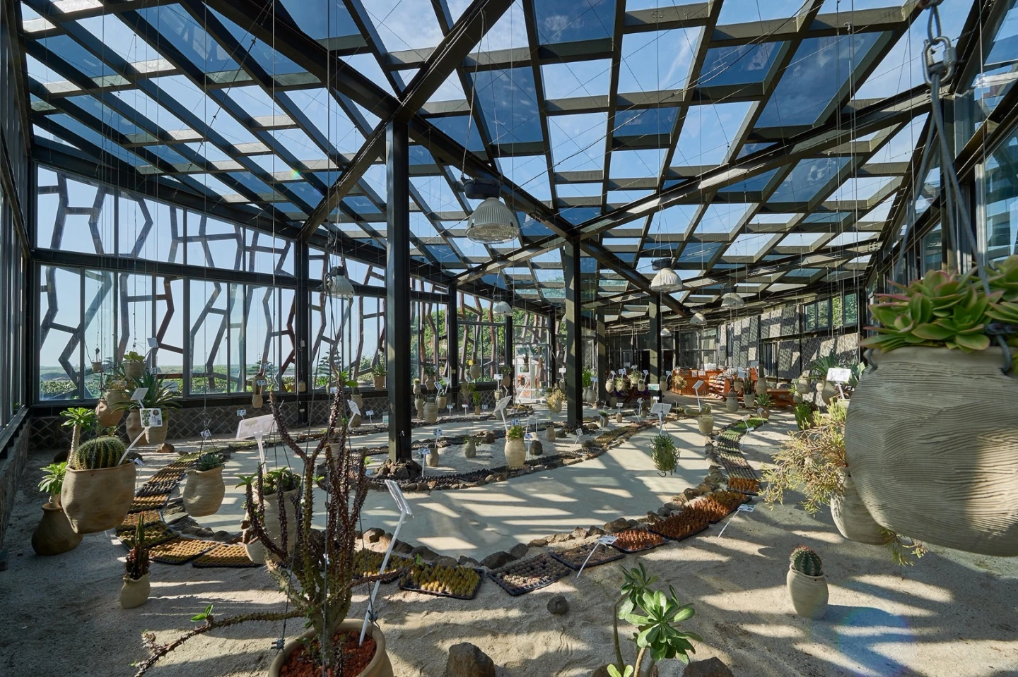Interior of the big cactus greenhouse at the Penghu Qingwan Cactus Park