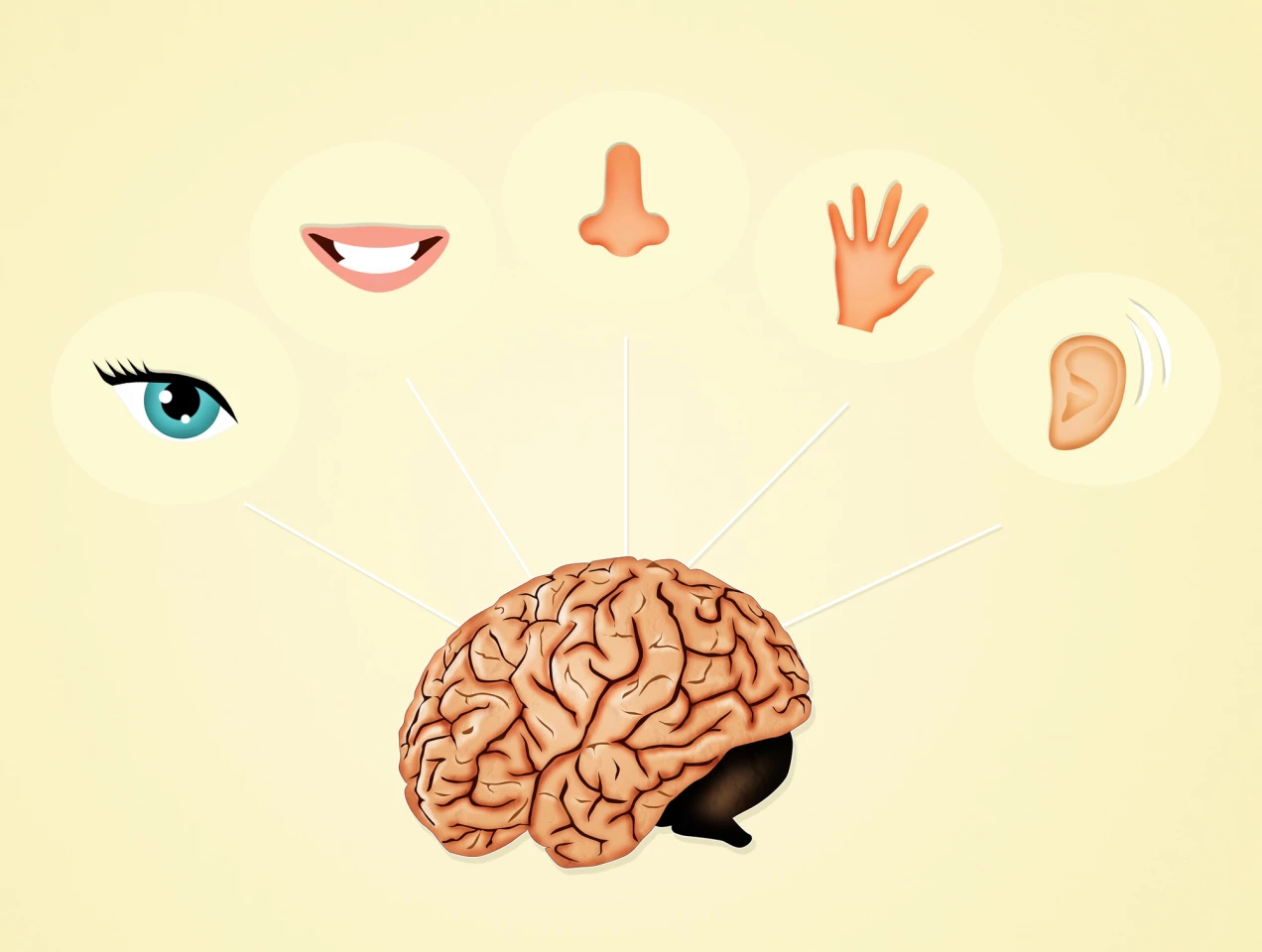 Jika kita kehilangan satu indra, mungkinkah kita dapat melatih kembali jalur indra lain untuk mengambil informasi yang hilang?