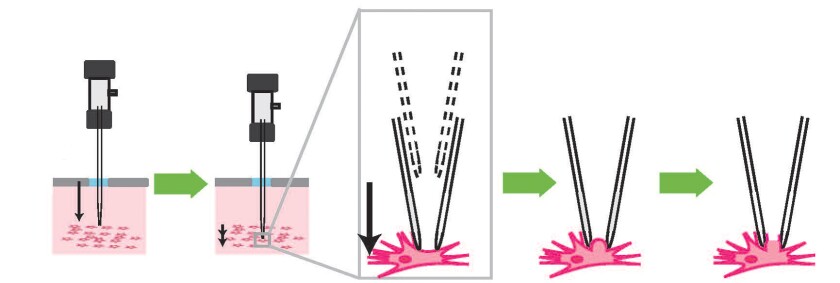 The four-step process the robotic arm uses to find and record information from neurons in the living brain (Image: MIT and Georgia Tech)