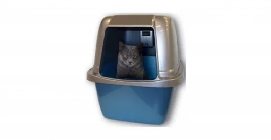 OdorBox eliminates kitty litter odor and keeps bacteria at bay