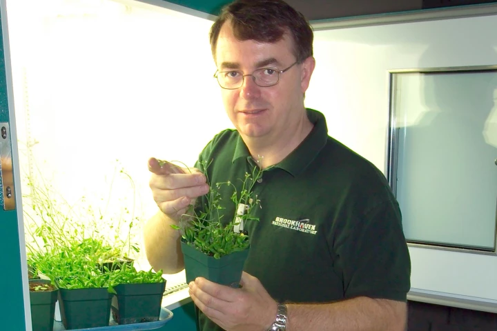 John Shanklin with the engineered plastics feedstock species Arabidopsis