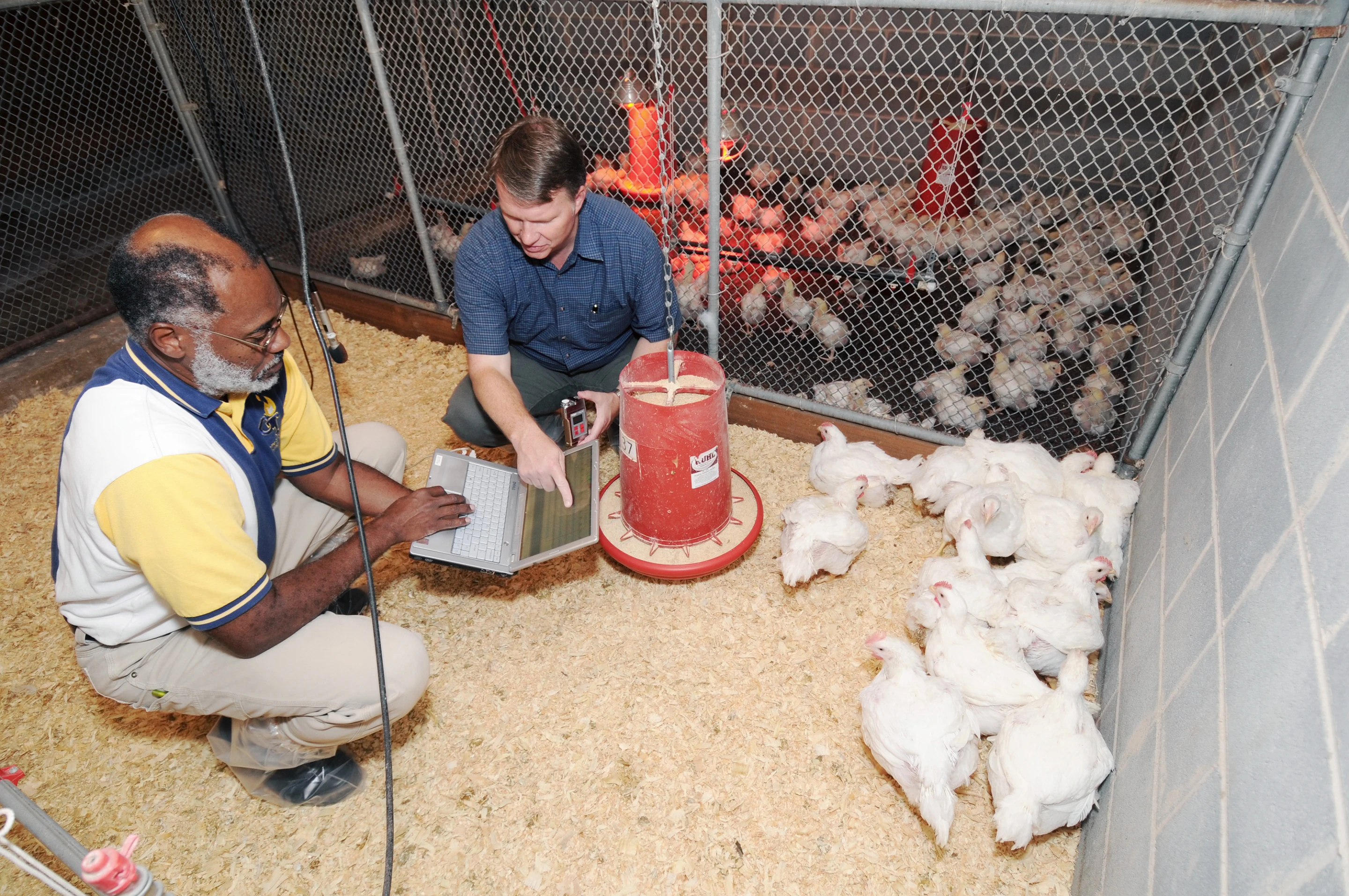 Wayne Daley (left), a Georgia Tech Research Institute principal research scientist, and Casey Ritz, a University of Georgia associate professor of poultry science, prepare to record chicken vocalizations