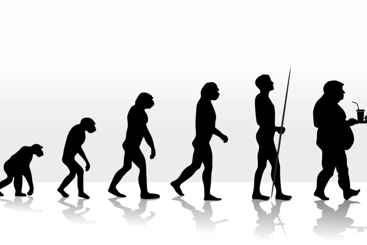 What kept out ancient ancestors from starvation may be exactly the same evolutionary mechanism that makes it so hard to lose weight and keep it off