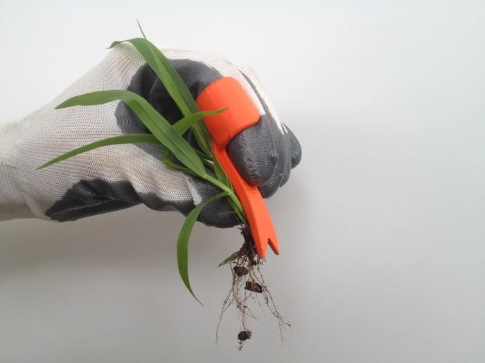 What the weeds look like once pulled out of the ground with Ring Weeder