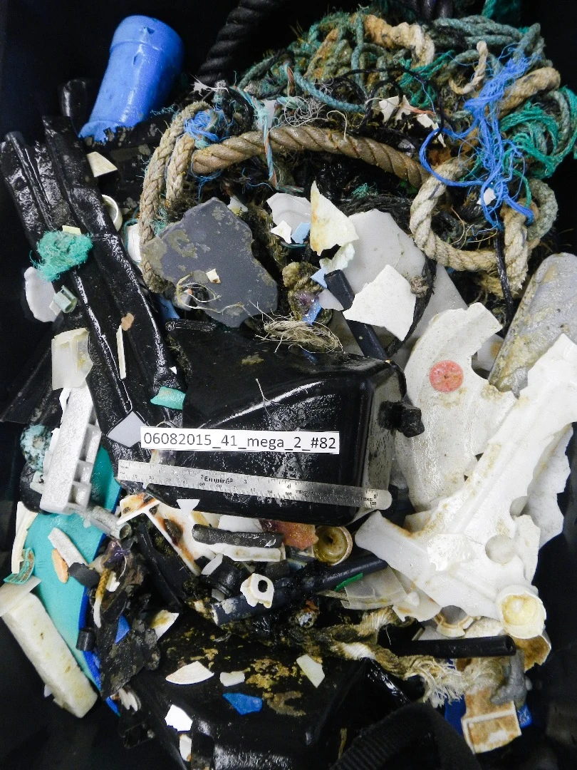 Plastic samples from a new survey of the Great Pacific Garbage Patch