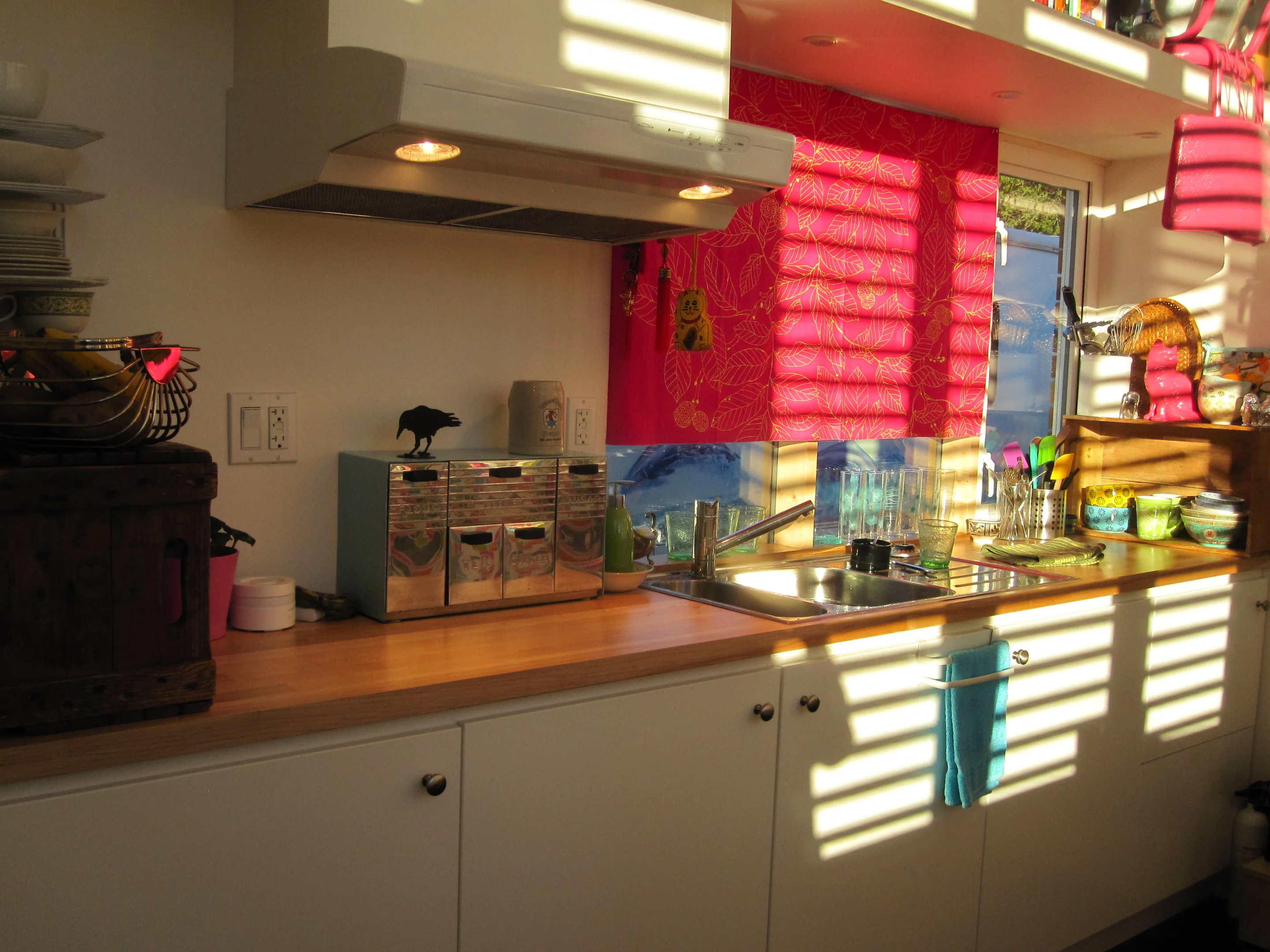 The kitchen runs along the left side of the home (Photo: Isabella Mori)