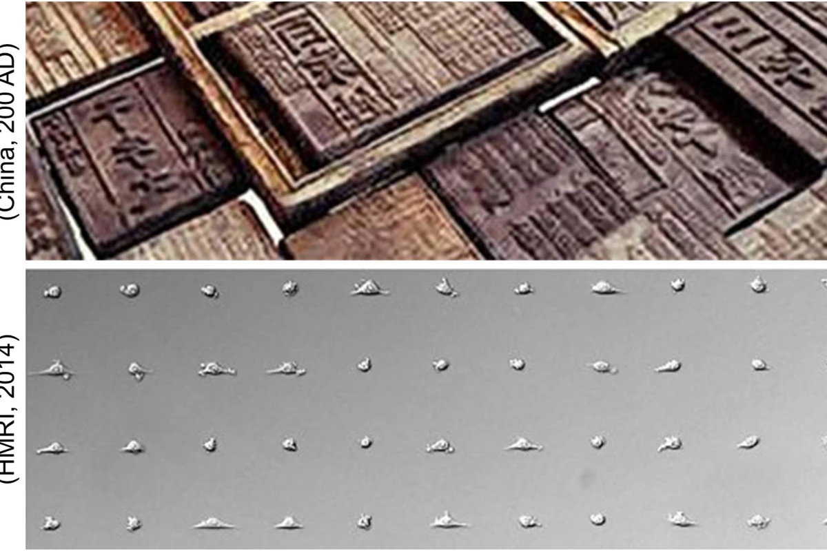A new cell-printing technique similar to the ancient art of block printing could see the cell stamps produced for around $1
